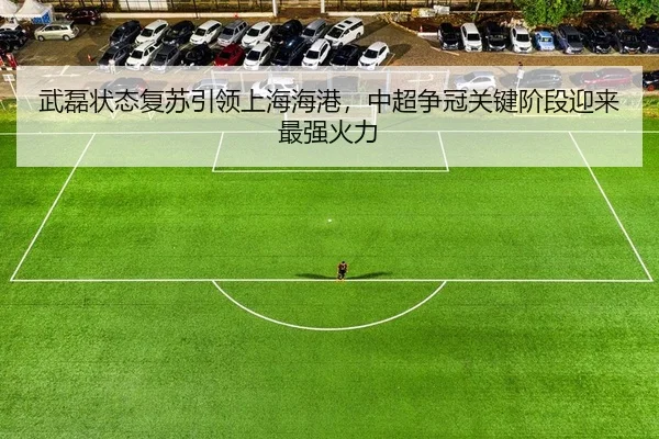 wu-lei-zhuang-tai-fu-su-yin-ling-shang-hai-hai-gang-zhong-chao-zheng-guan-guan-jian-jie-duan-ying-lai-zui-qiang-huo-li-2-474.jpg